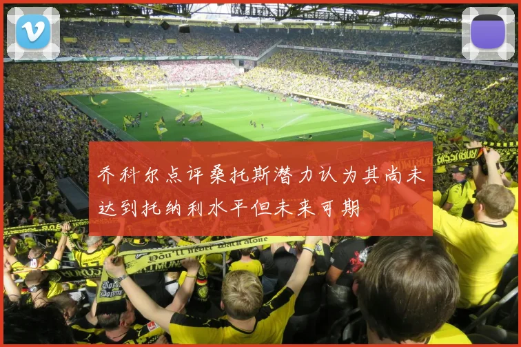 乔科尔点评桑托斯潜力认为其尚未达到托纳利水平但未来可期