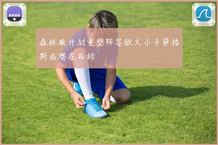 森林狼计划重塑阵容欧文小卡萨格斯成潜在目标